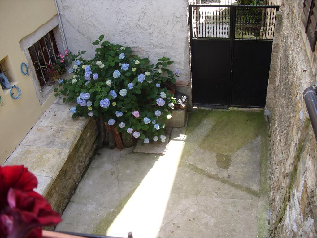 Rooms Svalina (Adults Only) Grožnjan Exterior foto