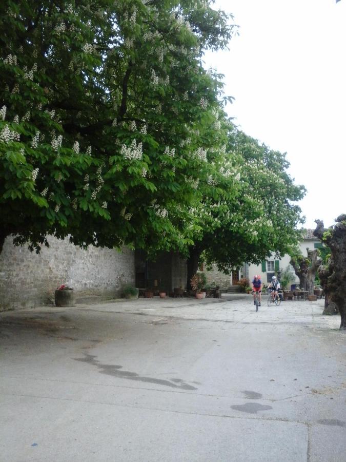 Rooms Svalina (Adults Only) Grožnjan Exterior foto